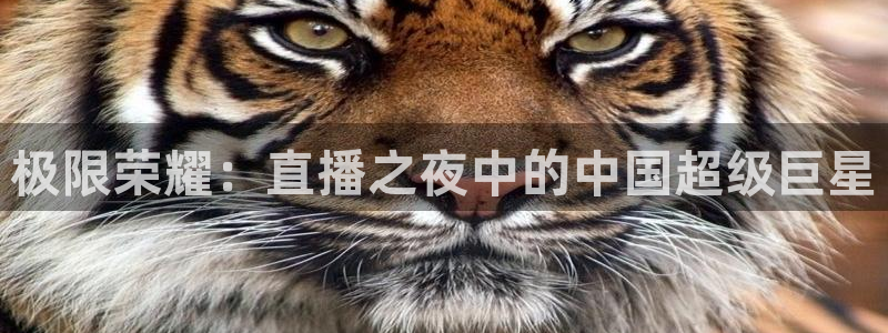 袋鼠直播体育在线直播