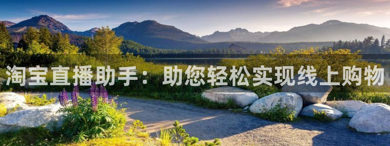 袋鼠体育在线直播：淘宝直播助手：助您轻松实现线上购物