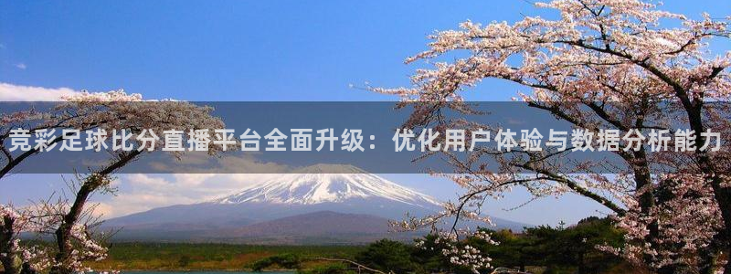 袋鼠体育nba直播：竞彩足球比分直播平台全面升级：优化用户体验与数据分析能力